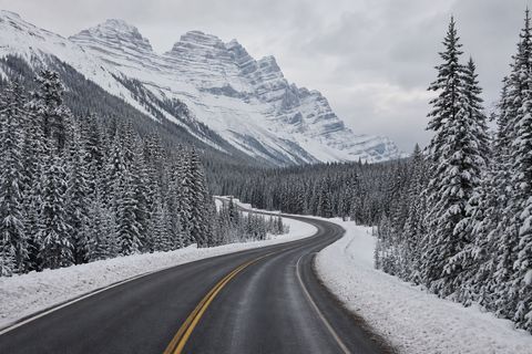 Plowed mountain highway winding through snow-covered pine forests in the Canadian Rockies.